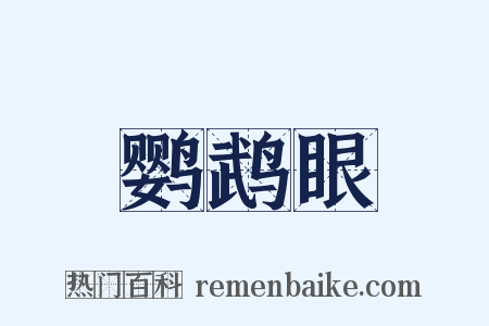 鹦鹉眼是什么意思的图片